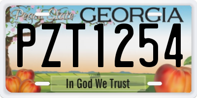 GA license plate PZT1254
