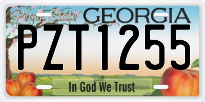 GA license plate PZT1255