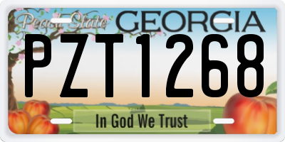 GA license plate PZT1268