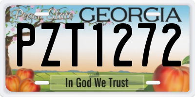 GA license plate PZT1272