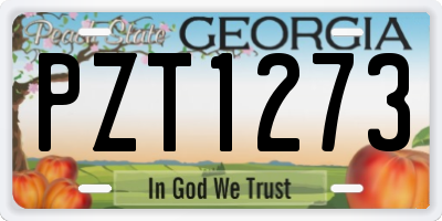 GA license plate PZT1273