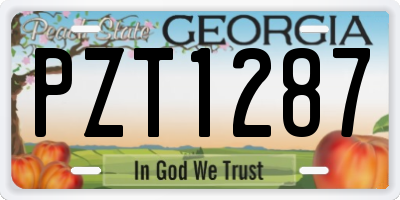 GA license plate PZT1287