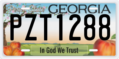 GA license plate PZT1288