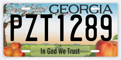 GA license plate PZT1289
