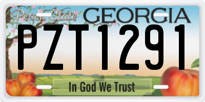 GA license plate PZT1291