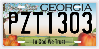 GA license plate PZT1303