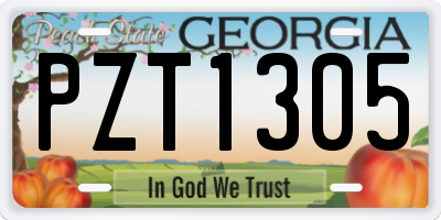 GA license plate PZT1305