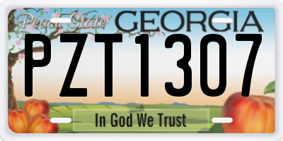 GA license plate PZT1307