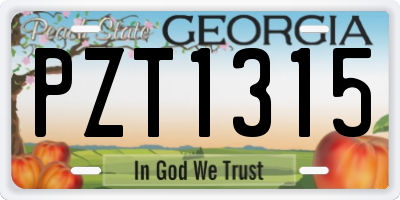 GA license plate PZT1315