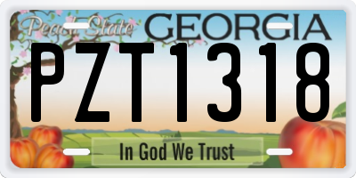 GA license plate PZT1318