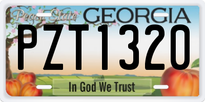 GA license plate PZT1320