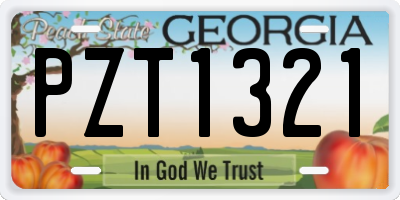 GA license plate PZT1321