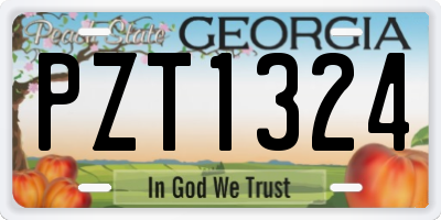 GA license plate PZT1324