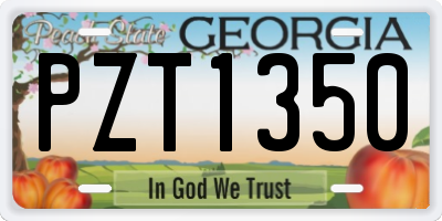GA license plate PZT1350