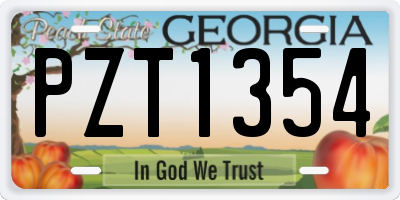 GA license plate PZT1354