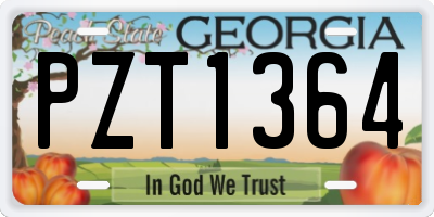 GA license plate PZT1364