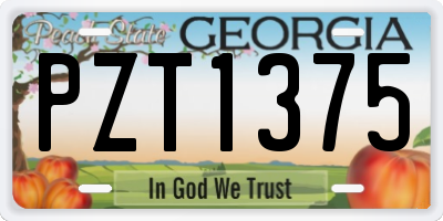 GA license plate PZT1375