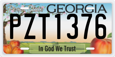 GA license plate PZT1376