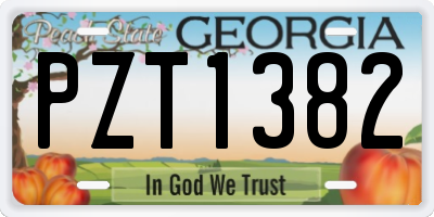 GA license plate PZT1382