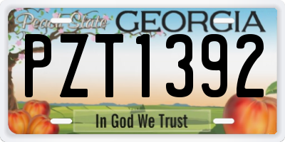 GA license plate PZT1392