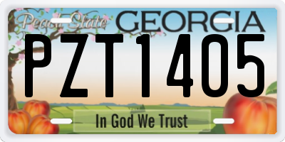 GA license plate PZT1405