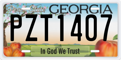 GA license plate PZT1407