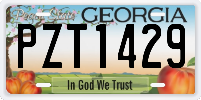 GA license plate PZT1429