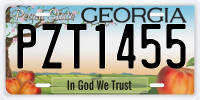 GA license plate PZT1455