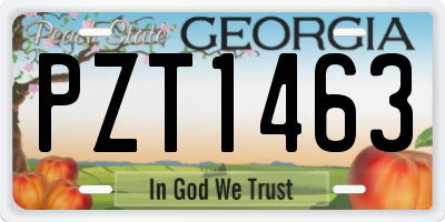 GA license plate PZT1463