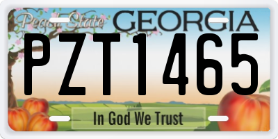 GA license plate PZT1465