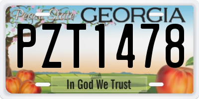 GA license plate PZT1478