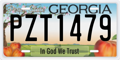 GA license plate PZT1479