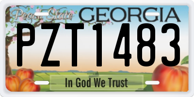 GA license plate PZT1483