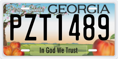 GA license plate PZT1489