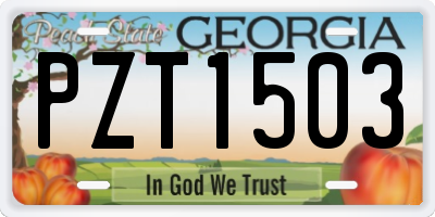 GA license plate PZT1503