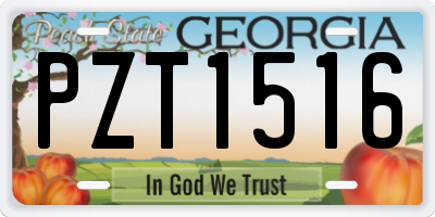 GA license plate PZT1516