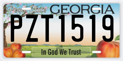 GA license plate PZT1519