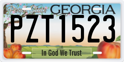 GA license plate PZT1523