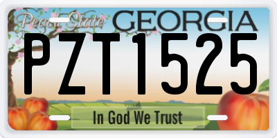 GA license plate PZT1525