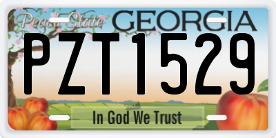 GA license plate PZT1529