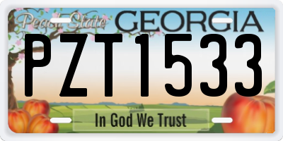 GA license plate PZT1533