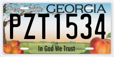 GA license plate PZT1534
