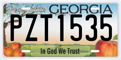GA license plate PZT1535