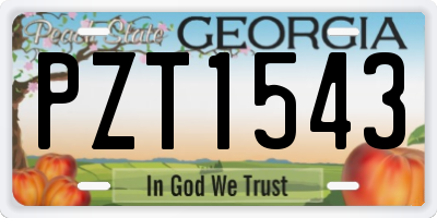 GA license plate PZT1543