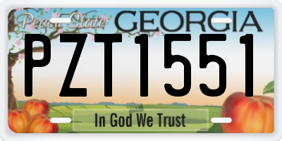 GA license plate PZT1551