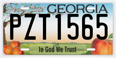GA license plate PZT1565