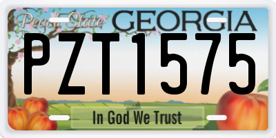 GA license plate PZT1575