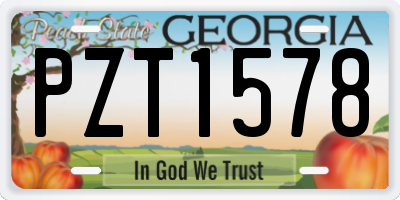 GA license plate PZT1578