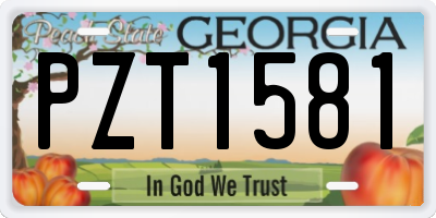 GA license plate PZT1581