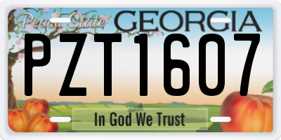 GA license plate PZT1607